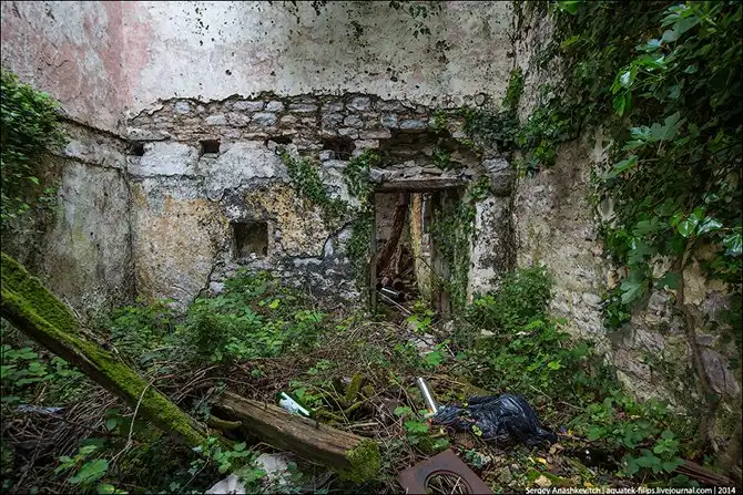 Королевство мертвых стен