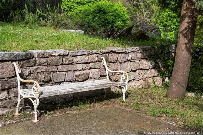 Королевство мертвых стен