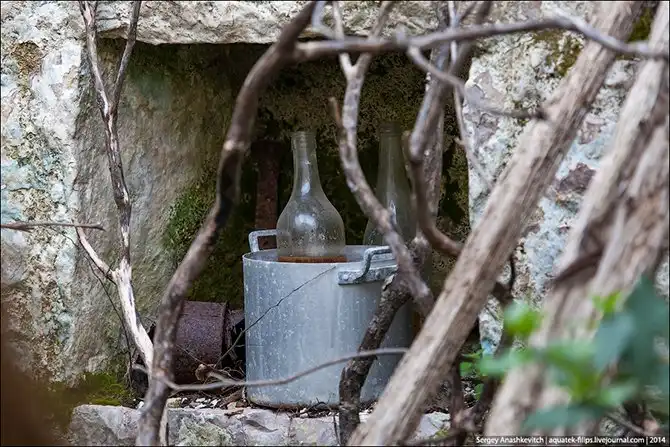 Королевство мертвых стен