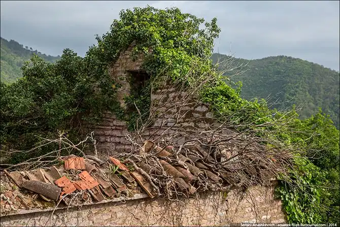 Королевство мертвых стен
