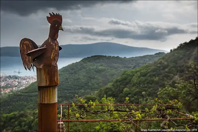 Королевство мертвых стен