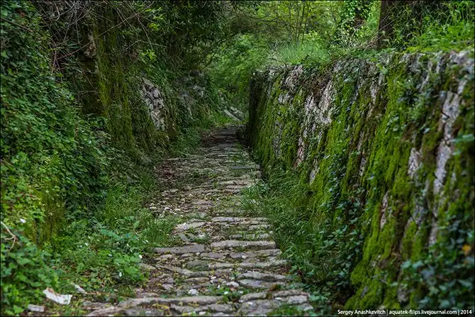 Королевство мертвых стен