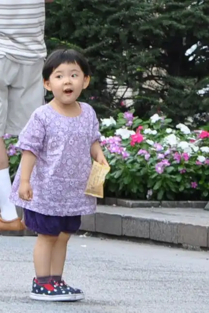 Япония и Дзен