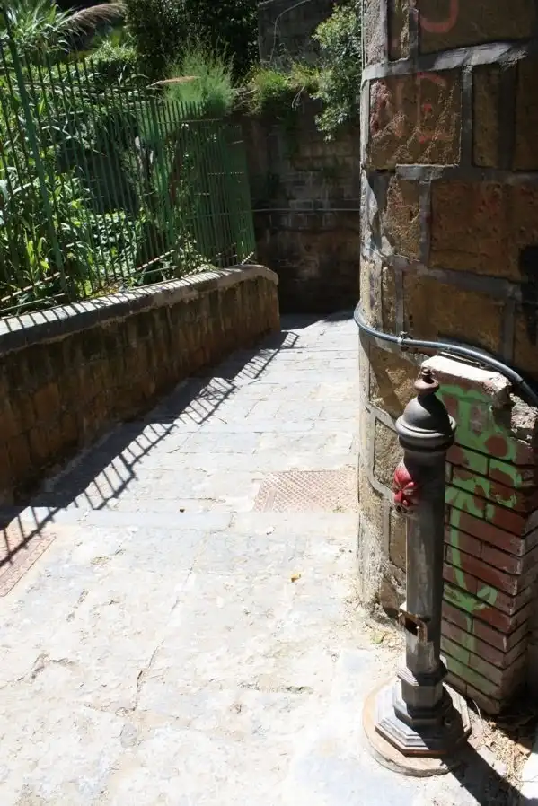 Проклятый остров