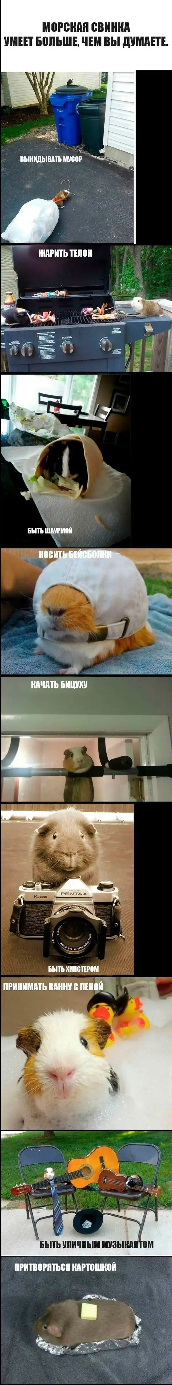 немного юмора на сегодня!