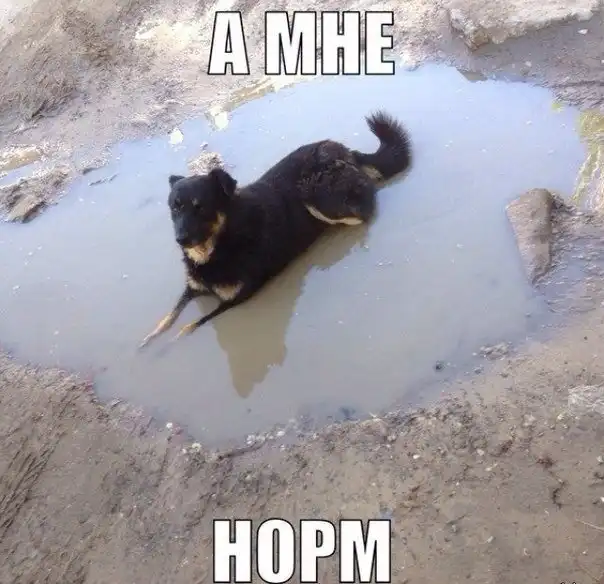 Разнообразная подборка =)