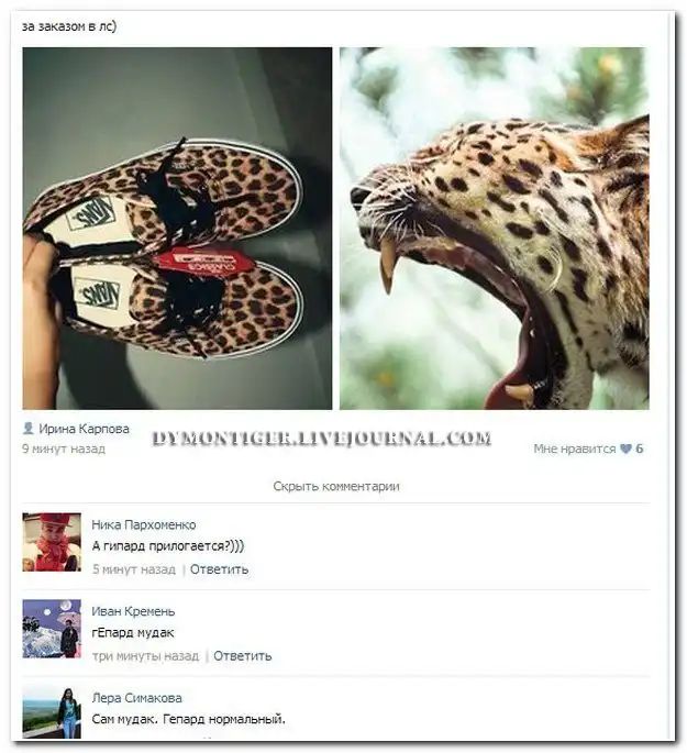 Смешные комментарии из социальных сетей