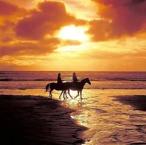 Соляночка =З