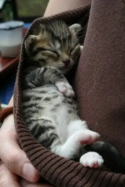 Соляночка =З