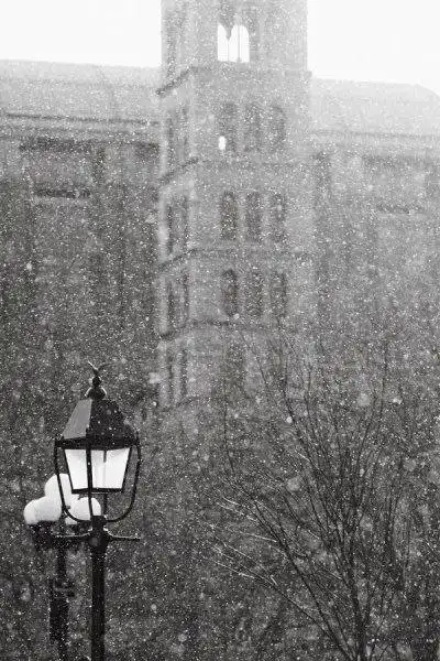 Соляночка =З