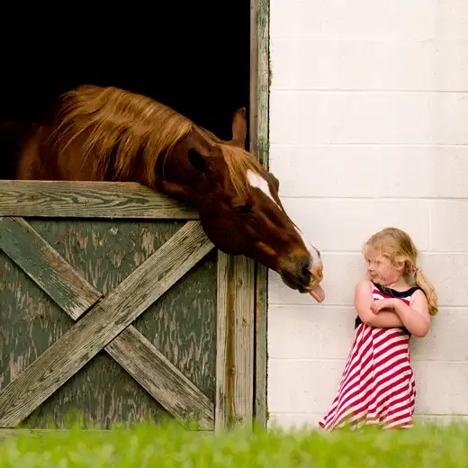 Разнообразная подборка =)