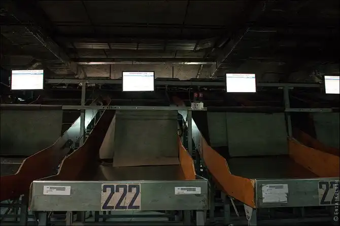 Как сортируют багаж в аэропорту Домодедово