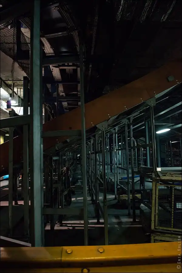 Как сортируют багаж в аэропорту Домодедово