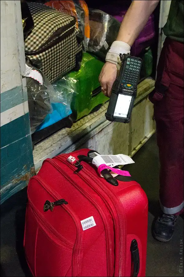 Как сортируют багаж в аэропорту Домодедово