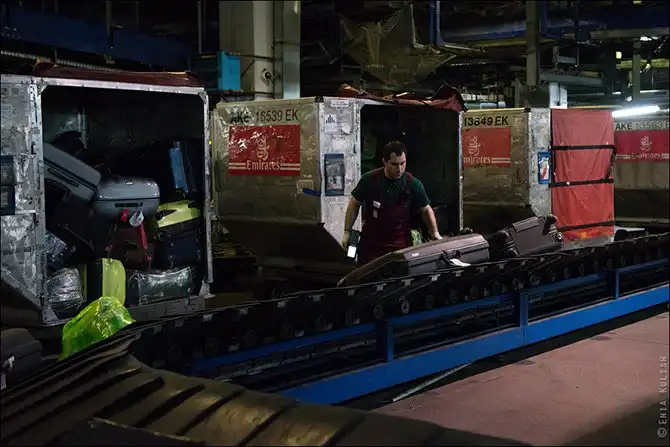 Как сортируют багаж в аэропорту Домодедово