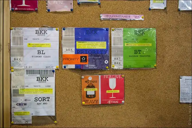 Как сортируют багаж в аэропорту Домодедово