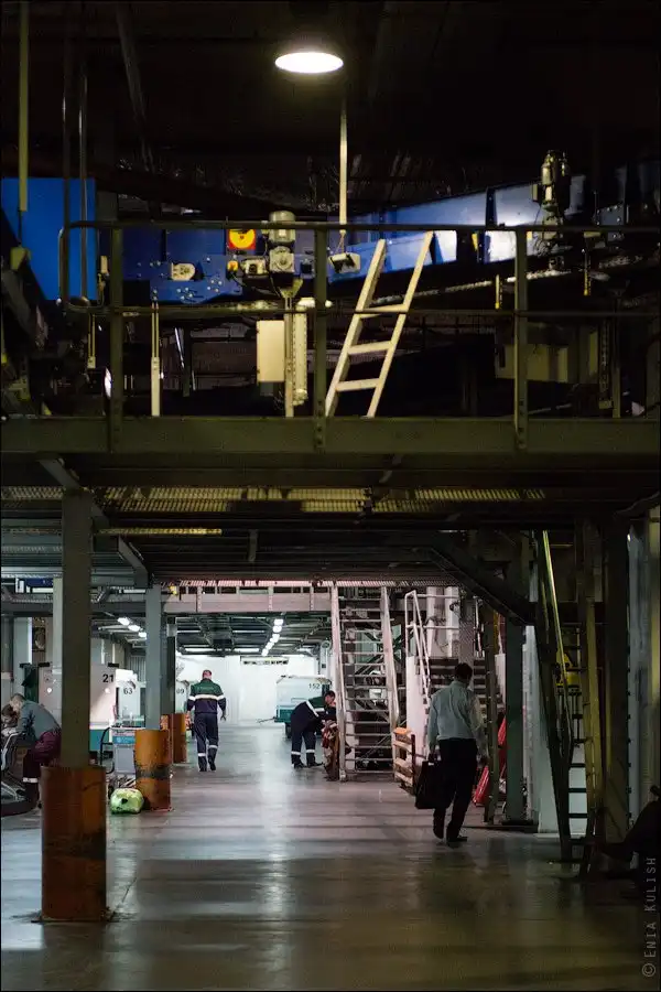 Как сортируют багаж в аэропорту Домодедово