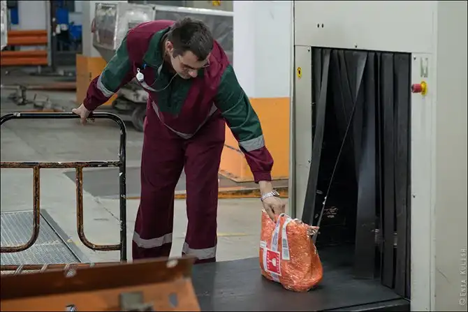 Как сортируют багаж в аэропорту Домодедово