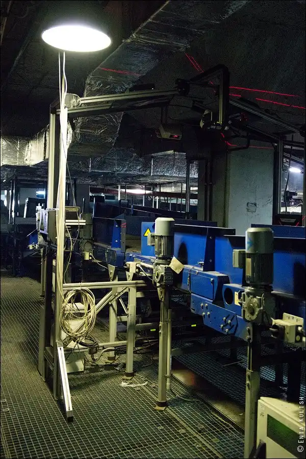 Как сортируют багаж в аэропорту Домодедово