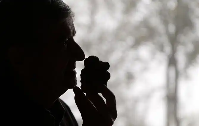 Как охотятся за трюфелями в Италии