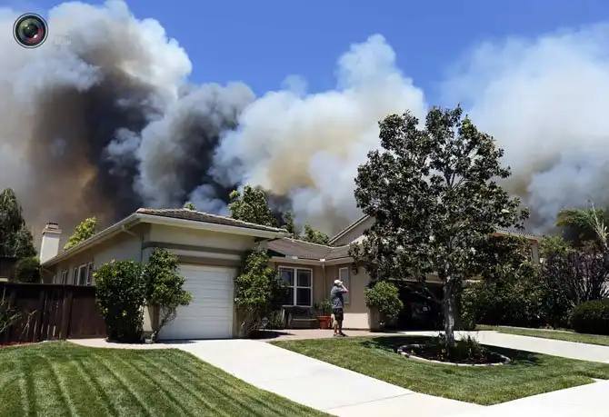 Неделя в фотографиях