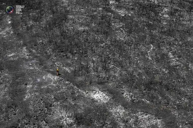 Неделя в фотографиях