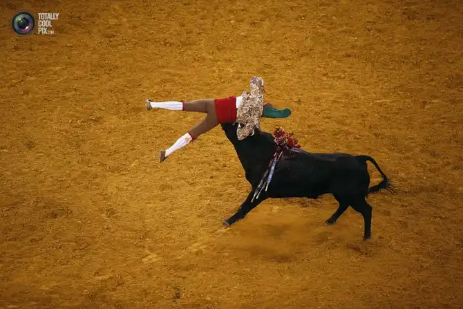 Неделя в фотографиях