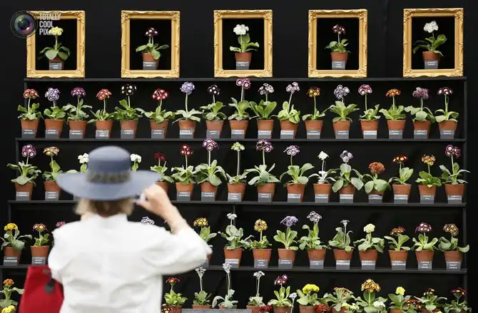 Неделя в фотографиях