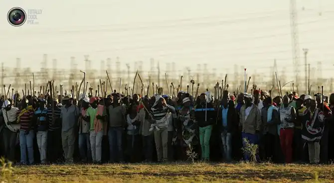 Неделя в фотографиях