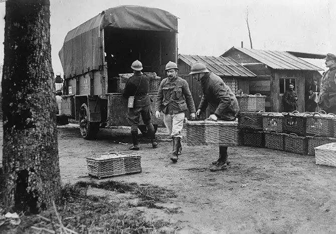 Животные Первой Мировой войны