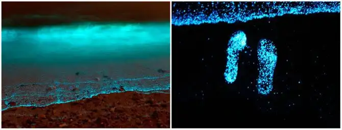 12 самых красивых пляжей, на которые стоит съездить