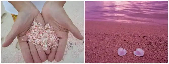 12 самых красивых пляжей, на которые стоит съездить