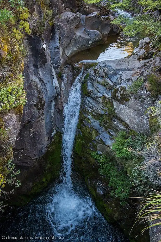 Путешествие по Национальному парку Новой Зеландии