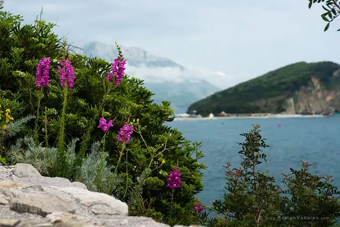 Прогулка по Будве