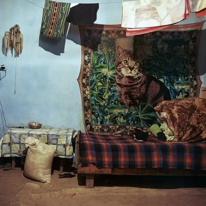 Законсервированные квартиры по-советски