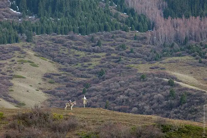 Путешествие по стране высоких гор
