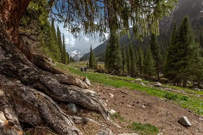 Путешествие по стране высоких гор