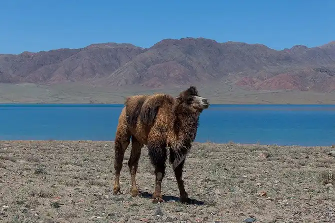 Путешествие по стране высоких гор