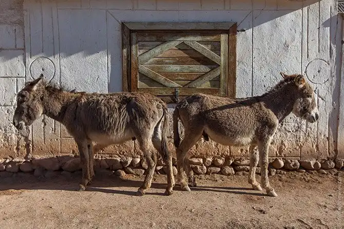 Путешествие по стране высоких гор