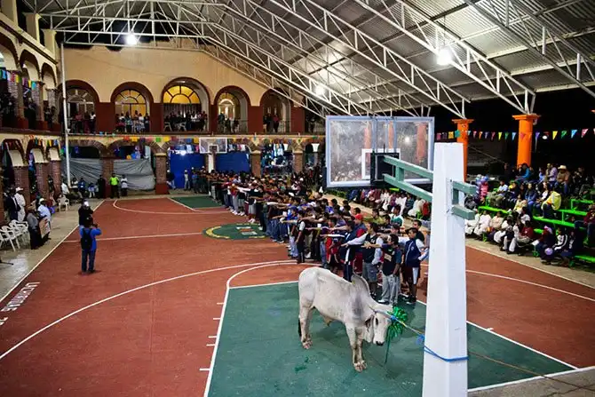 Баскетбольные страсти в Мексике