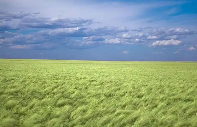 Удивительные фотографии со всего света