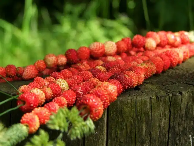 25 вещей, которые нужно сделать этим летом