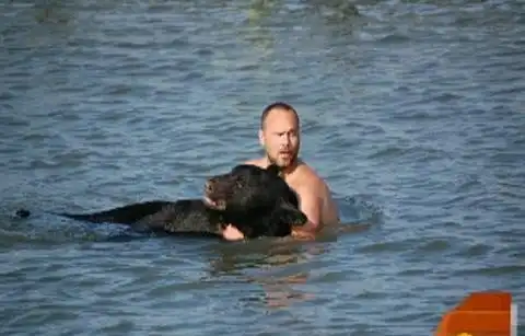 История про то, как косолапого спасали.