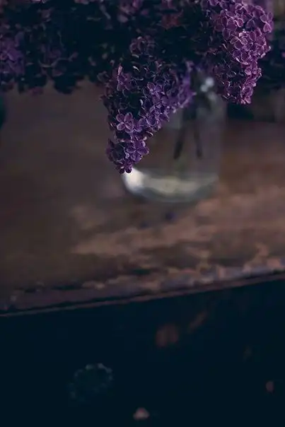 Соляночка =З