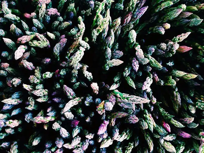 Победители фотоконкурса «iPhone Photography Awards 2014»