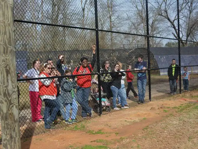 Необычная дружба