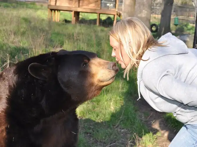 Необычная дружба