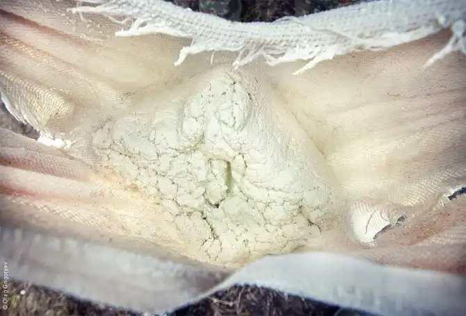 Как живут чабаны на полонине