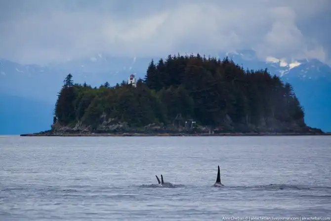 Путешествие на Аляску