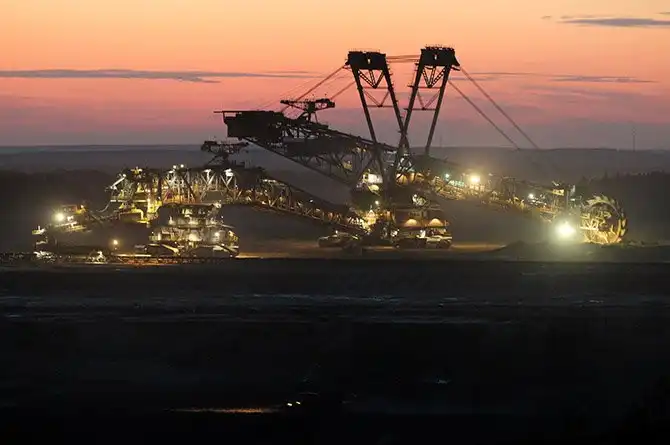 Уголь — древнее растение под землей